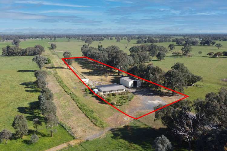 77 Tip Road, Holbrook NSW 2644