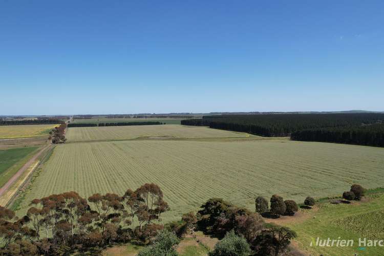 Main view of Homely cropping listing, 705 Grists Road, Bradvale VIC 3361