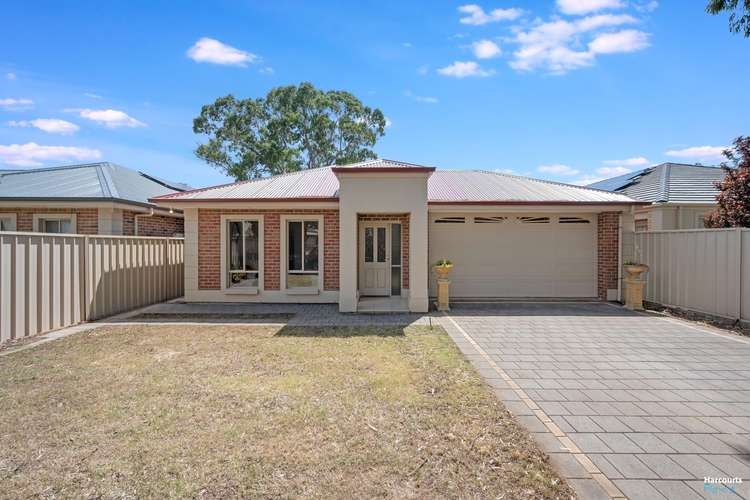 16 Rockville Avenue, Daw Park SA 5041