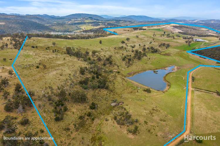 Main view of Homely mixedFarming listing, LOT 1/531 Delmore Road, Wattle Hill TAS 7172