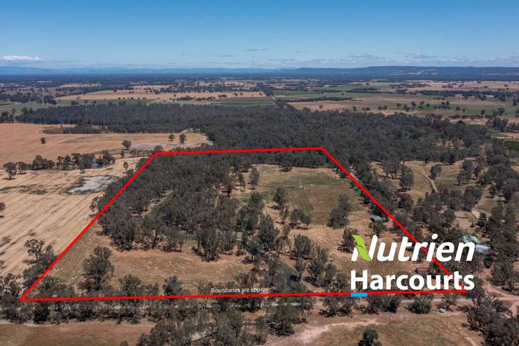 Main view of Homely cropping listing, CA 62/2192 Boundary Road, Boorhaman East VIC 3678