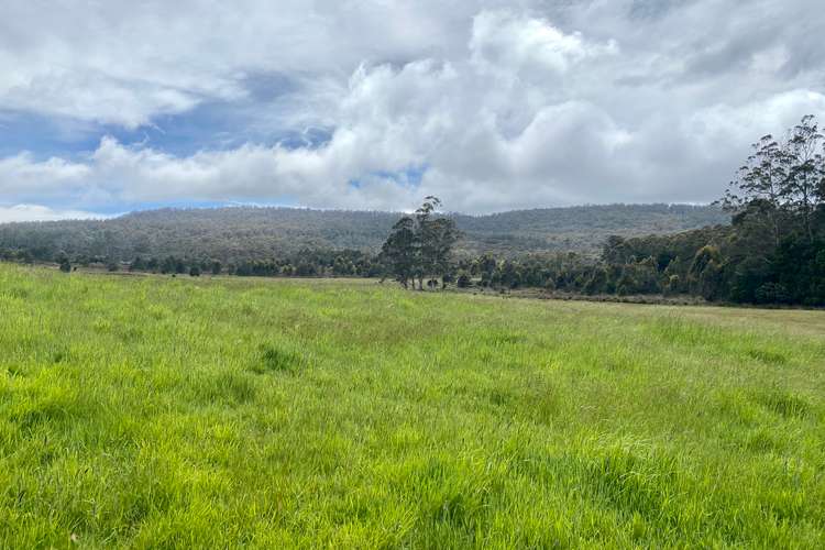 Main view of Homely mixedFarming listing, 5464 Bass Highway, Elizabeth Town TAS 7304