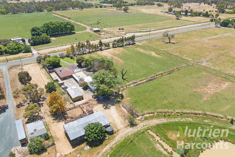 Third view of Homely lifestyle listing, 428 Mitchell Road, Echuca Village VIC 3564