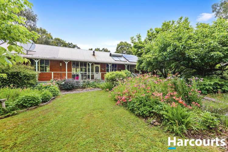 Main view of Homely house listing, 55 Nerrena Hall Road, Nerrena VIC 3953
