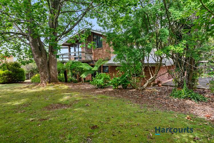 141 Wrenswood Drive, Quoiba TAS 7310