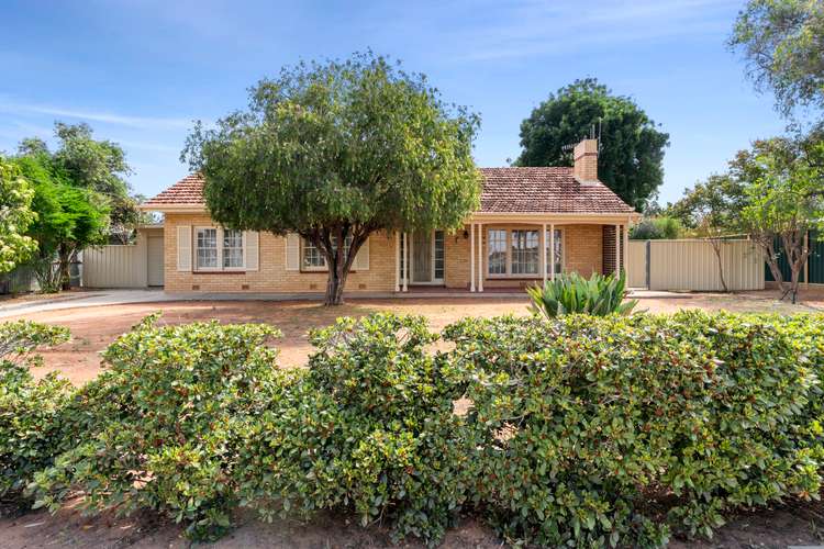 Main view of Homely house listing, 81 Nineteenth Street, Renmark SA 5341