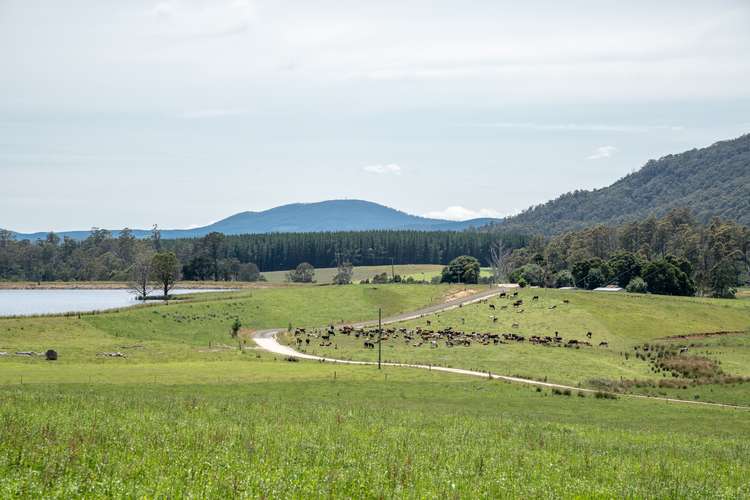 Fifth view of Homely dairy listing, 310 Mackenzie Valley Road, Cuckoo TAS 7260