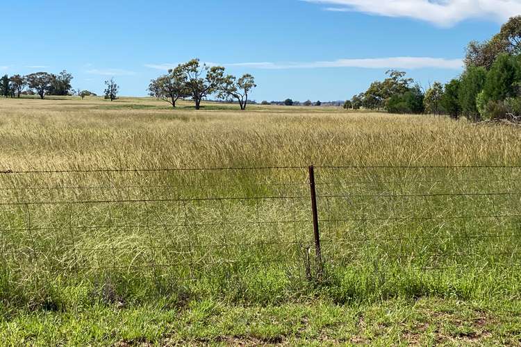 Main view of Homely mixedFarming listing, 8308 The Bogan Way, Trundle NSW 2875