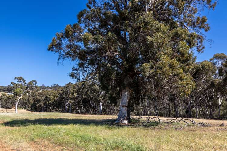 Main view of Homely residentialLand listing, LOT 630 Barzona Way, Lower Chittering WA 6084