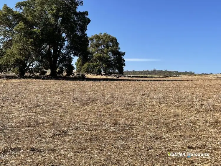 Main view of Homely rural property listing, . Ramsay Road, Brookton WA 6306