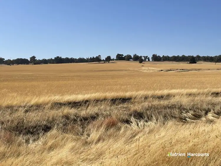 Second view of Homely rural property listing, . Ramsay Road, Brookton WA 6306