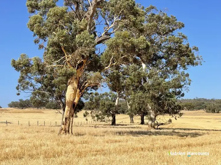 Third view of Homely rural property listing, . Ramsay Road, Brookton WA 6306