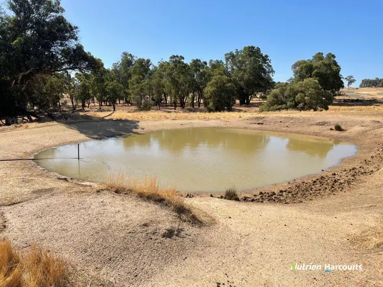 Sixth view of Homely rural property listing, . Ramsay Road, Brookton WA 6306