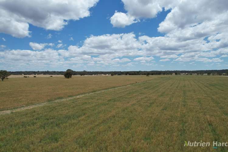 Main view of Homely cropping listing, 140 Clunes-Evansford Road, Evansford VIC 3371