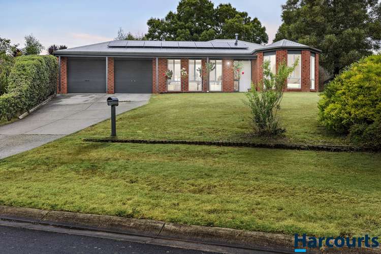 Main view of Homely house listing, 6 Correa Court, Mount Helen VIC 3350