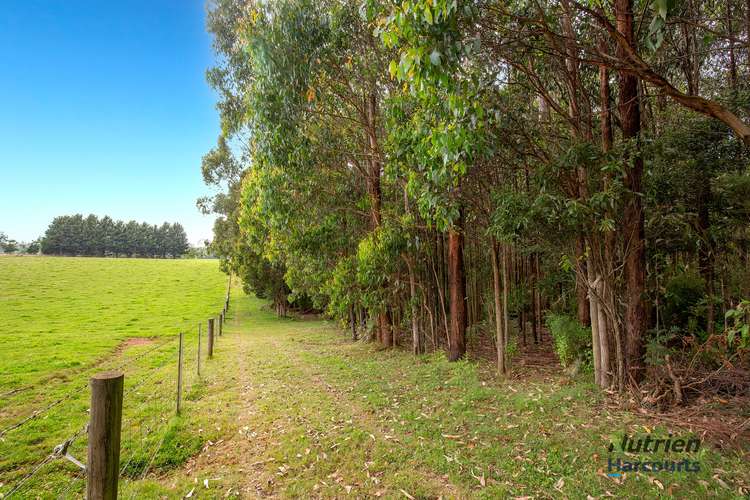 Fifth view of Homely lifestyle listing, 547 Ogradys Road, Pheasant Creek VIC 3757