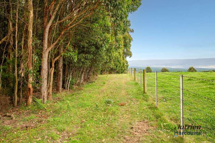 Seventh view of Homely lifestyle listing, 547 Ogradys Road, Pheasant Creek VIC 3757