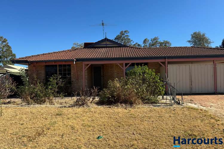 Main view of Homely house listing, 13 Banksia Court, Bullsbrook WA 6084