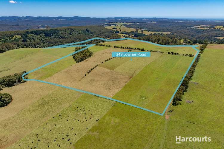 Main view of Homely dairy listing, 249 Lowries Road, Oldina TAS 7325