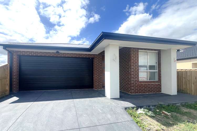 Main view of Homely house listing, 7 Cumbungi Road, Beveridge VIC 3753