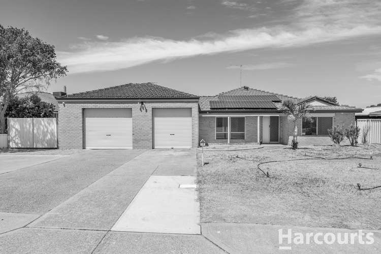 19 Abbotswood Parkway, Erskine WA 6210