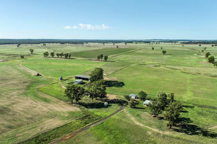150r Mogriguy Forest, Dubbo NSW 2830