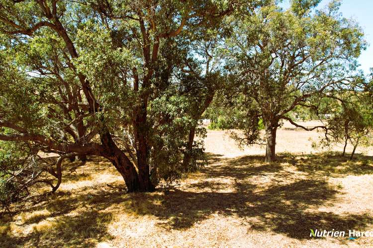 Sixth view of Homely residentialLand listing, Lot 116 Daviesia Fairway, Gingin WA 6503