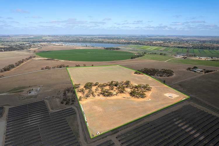 Main view of Homely lifestyle listing, 105 Piggery Road, Mannum SA 5238