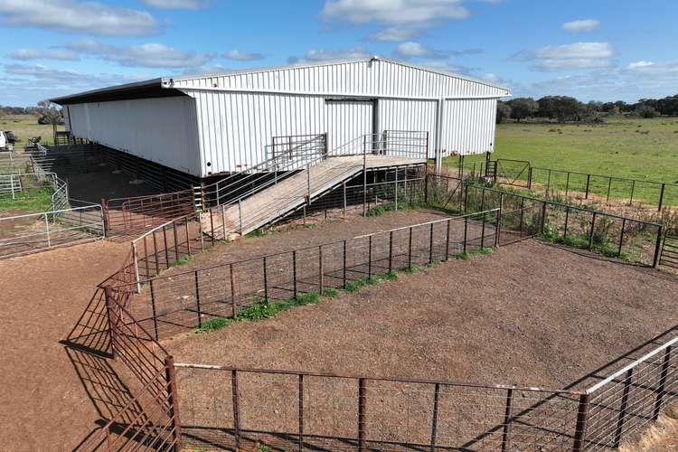 Main view of Homely mixedFarming listing, Smeatonvale/2452 Cobb Highway, Deniliquin NSW 2710