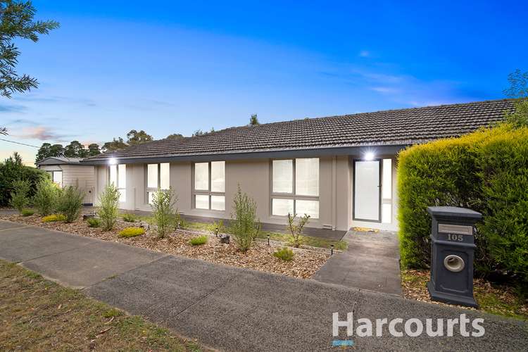 Main view of Homely house listing, 105 Daffodil Road, Boronia VIC 3155
