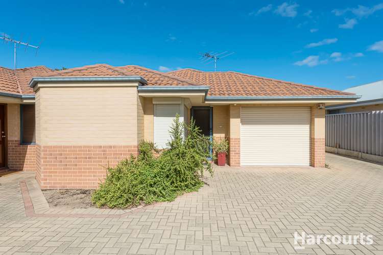 Main view of Homely house listing, 369D Wanneroo Road, Balcatta WA 6021