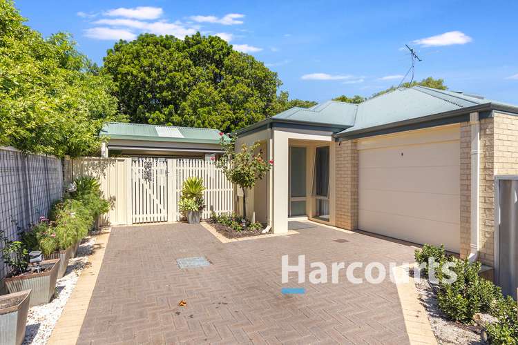 Main view of Homely house listing, 3/84 Dorset Street, West Busselton WA 6280