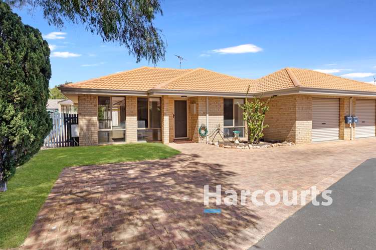 Main view of Homely house listing, 36/1 Dorset Street, West Busselton WA 6280