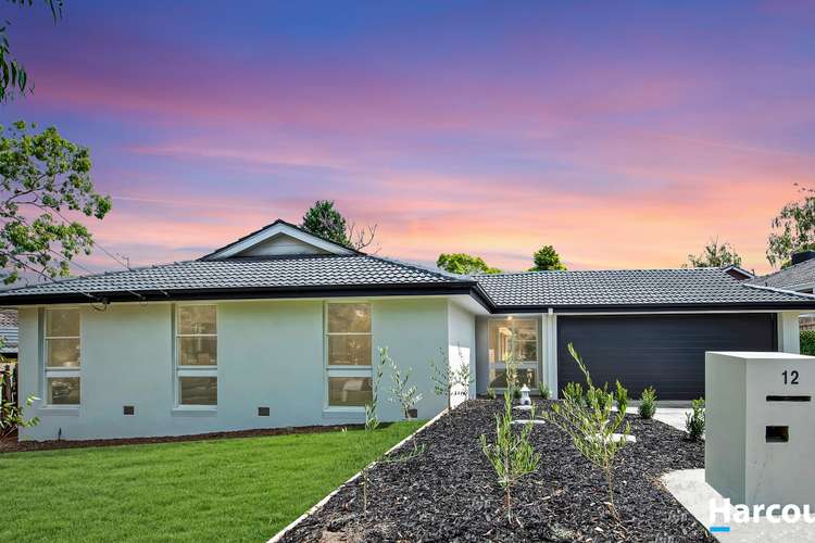 Main view of Homely house listing, 12 Tanunda Street, Vermont South VIC 3133