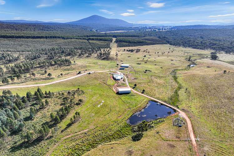 Main view of Homely lifestyle listing, 1458 Bendoc-Orbost Road, Bendoc VIC 3888