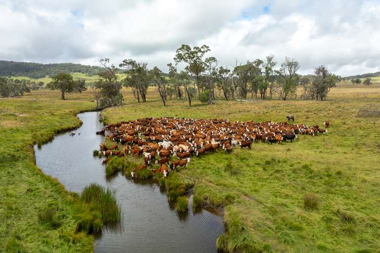 Main view of Homely ruralOther listing, 'Dunvegan'/161 Nine Mile Road, Dundee NSW 2370