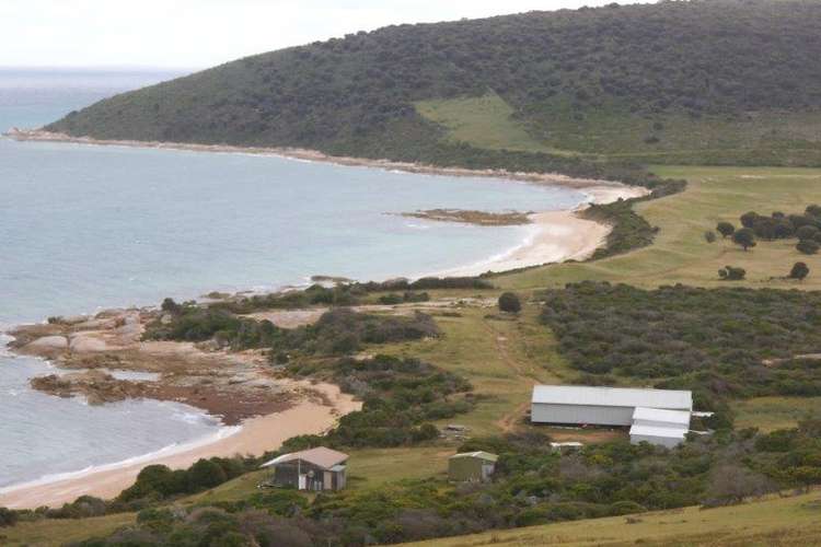 . Prime Seal Island (Bass Strait), Whitemark TAS 7255