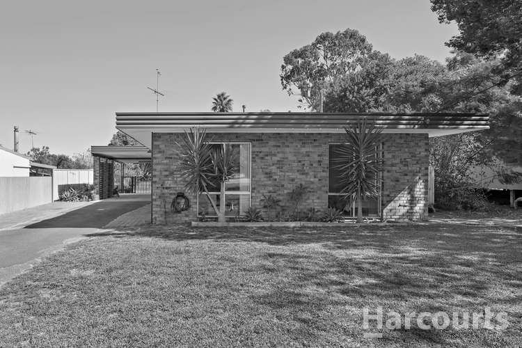 Main view of Homely house listing, 3 Zavia Street, Falcon WA 6210