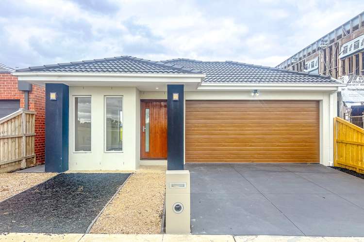 Main view of Homely house listing, 17 Ringtail Place, Beveridge VIC 3753