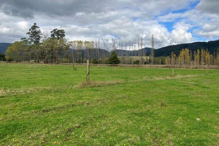 Main view of Homely ruralOther listing, 36143 Tasman Highway, Springfield TAS 7260