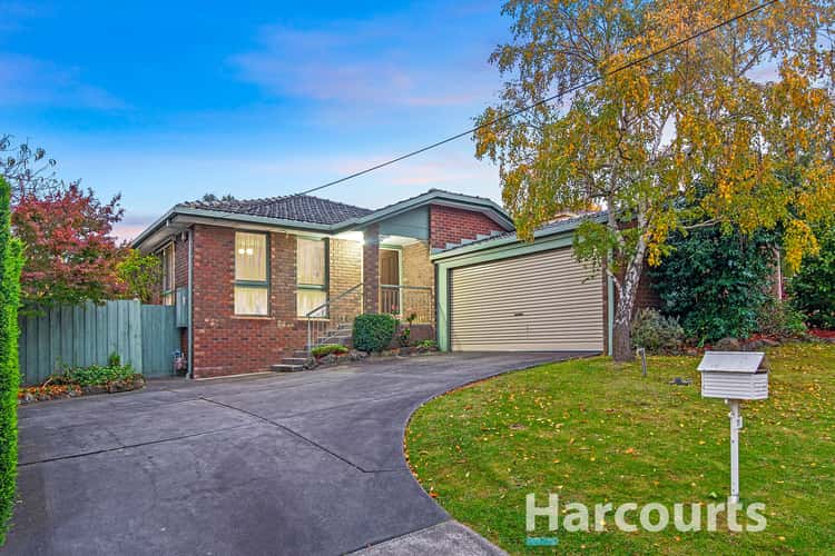 Main view of Homely house listing, 11 Auriol Court, Ferntree Gully VIC 3156