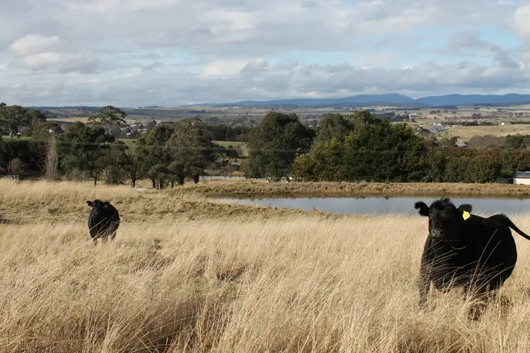 Main view of Homely land listing, 149 Gillamatong Lane, Braidwood NSW 2622