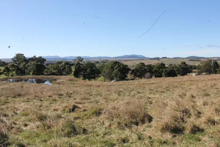 Sixth view of Homely land listing, 149 Gillamatong Lane, Braidwood NSW 2622
