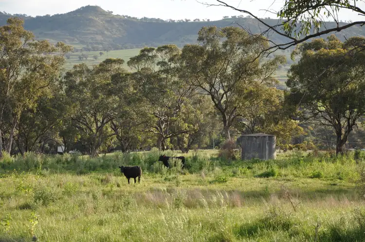 Fourth view of Homely rural property listing, 51 Queen St, Bunnan NSW 2337