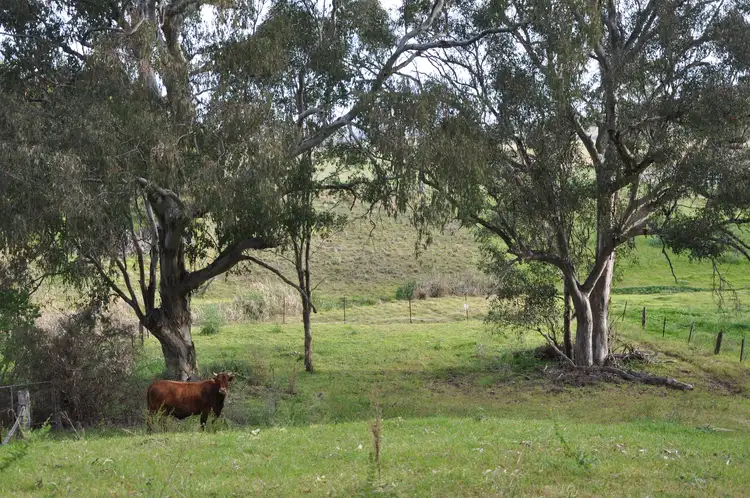 Seventh view of Homely rural property listing, 51 Queen St, Bunnan NSW 2337