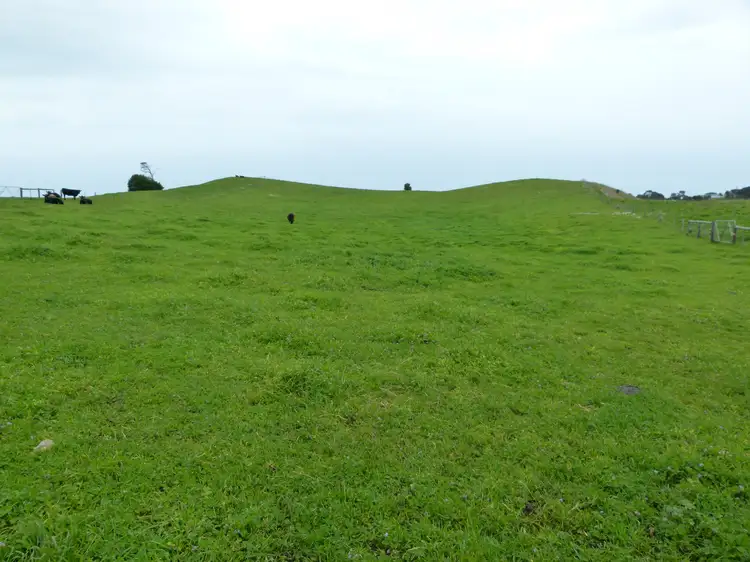 Fourth view of Homely rural property listing, 1683 Canunda Frontage Road, Tantanoola SA 5280