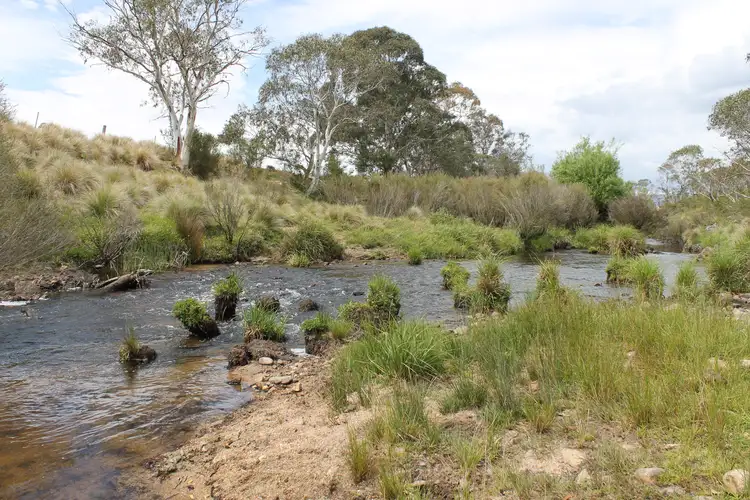 Fifth view of Homely rural property listing, 1029 Jerrabattgulla Road, Braidwood NSW 2622