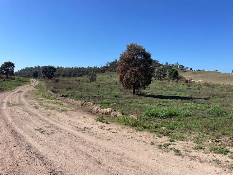 Fourth view of Homely rural property listing, 3988 FLAGSTAFF ROAD, Taroom QLD 4420