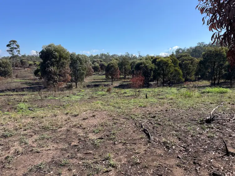 Seventh view of Homely rural property listing, 3988 FLAGSTAFF ROAD, Taroom QLD 4420