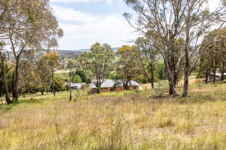 Third view of Homely rural property listing, 213E-215E Croudace Street, Walcha NSW 2354